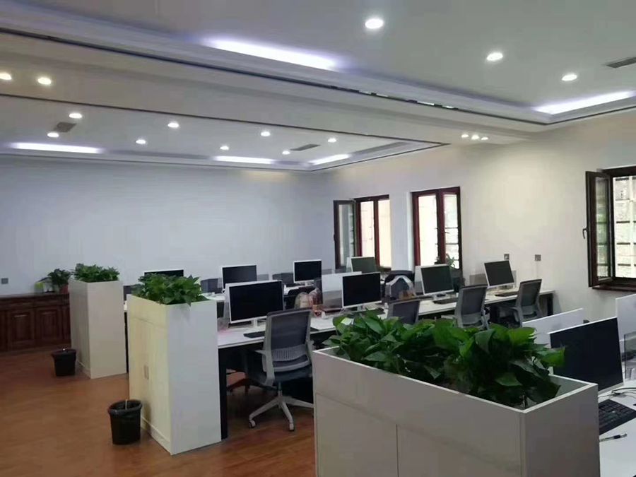 What Makes Ergonomic Chairs a Must-Have in Modern Workspaces?cid=5