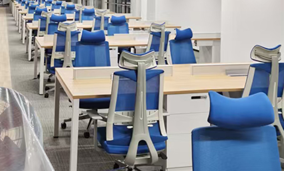 Ergonomic Executive Mesh Chair Project in Canada