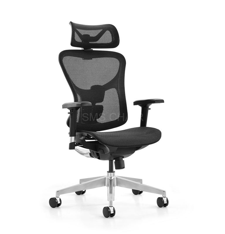 Multilock Functional Mesh Ergonomic Office Executive Director Chair