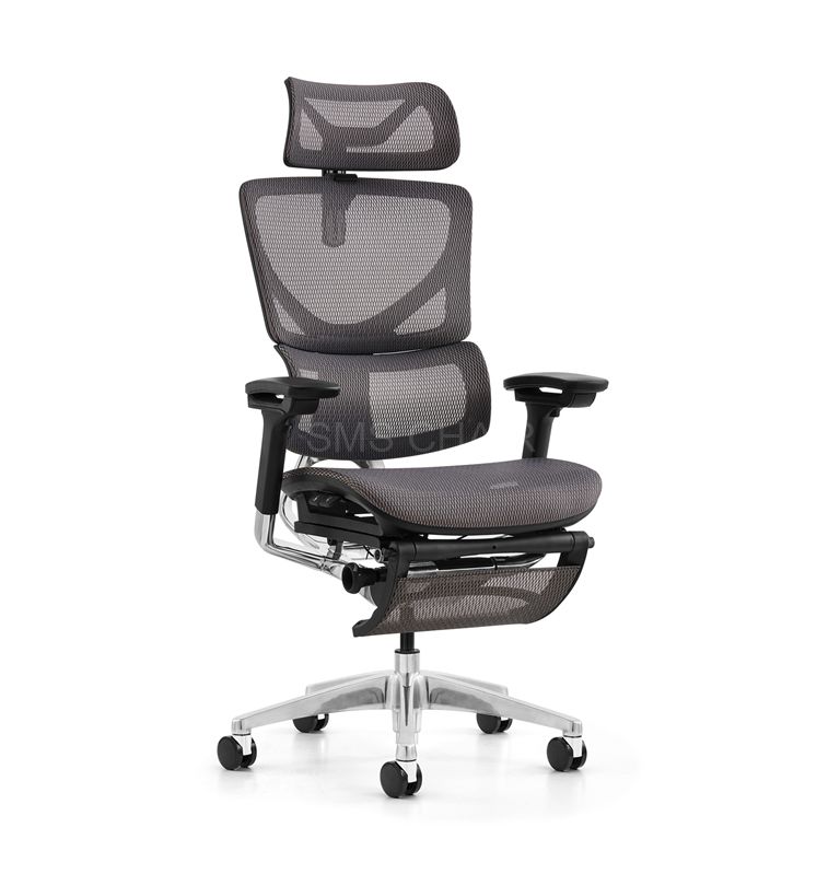 Breathable Korean Imported Mesh Ergonomic Office Chair with Foot Rest