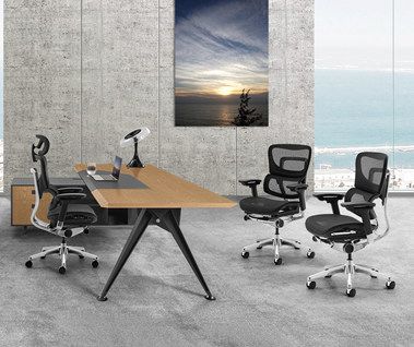 Several Famous Ergonomic Office Chair Brands