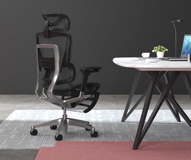 Which ergonomic chair is better for your client