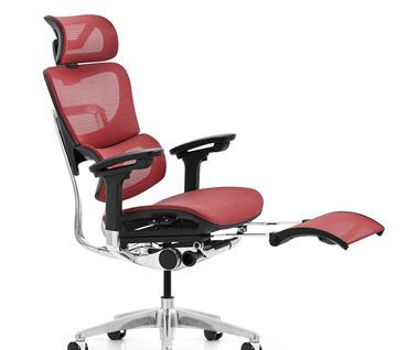 New trendy ergonomic office chair for office project