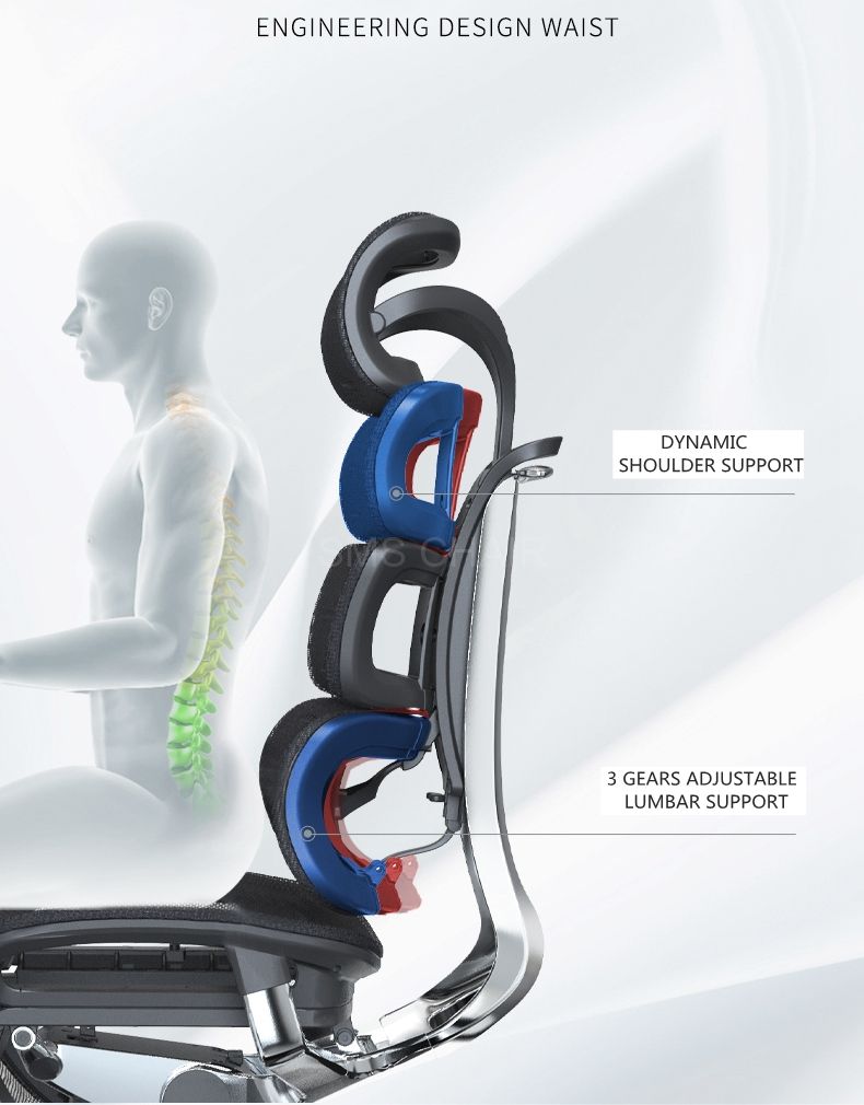 Lumbar Support