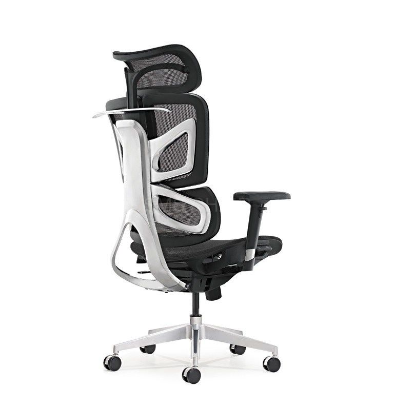 Ergonomic Luxury Office Mesh Chair With Dynamic Backrest Ergonomic Luxury Office Mesh Chair With Dynamic Backrest