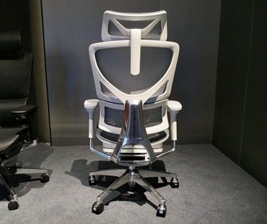 The Science of Seating: What Makes An Ergonomic Office Chair the Best?