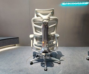 5 Reasons Why People Need Ergonomic Chairs with Good Lumbar Support in the Office