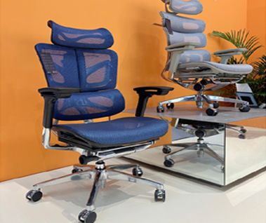 Ergonomic Chairs: Intellectual Tax Or Health Investment?