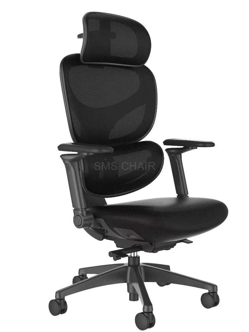 High Back Adjustable Mesh Ergonomic Office Chair with 3D Lumbar Support and 4D Headrest