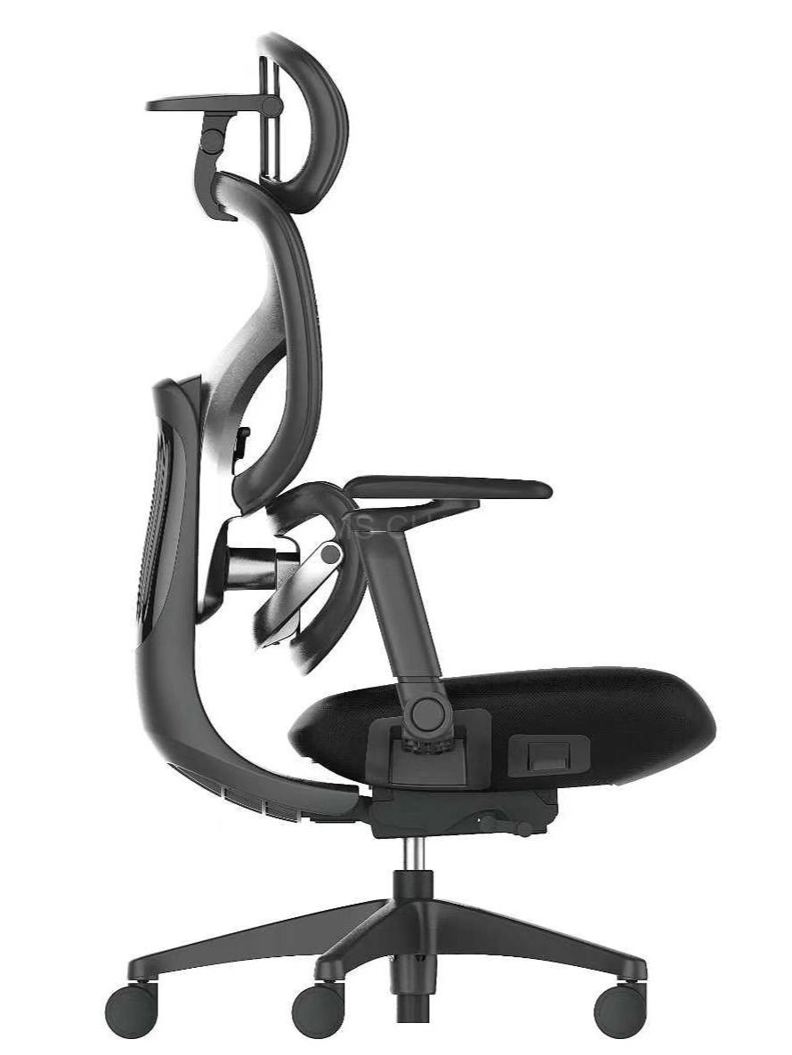 High Back Adjustable Mesh Ergonomic Office Chair with 3D Lumbar Support and 4D Headrest
