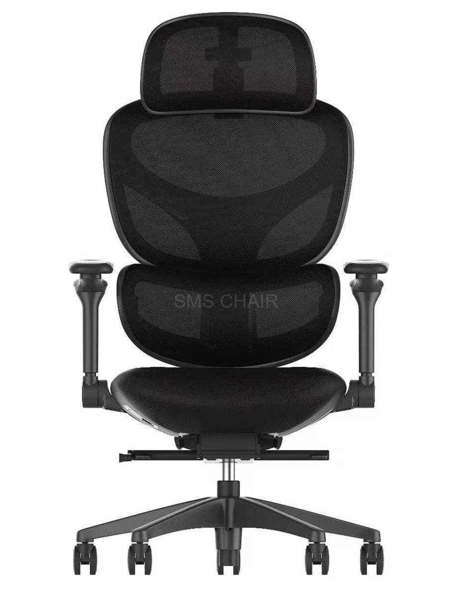 High Back Adjustable Mesh Ergonomic Office Chair with 3D Lumbar Support and 4D Headrest