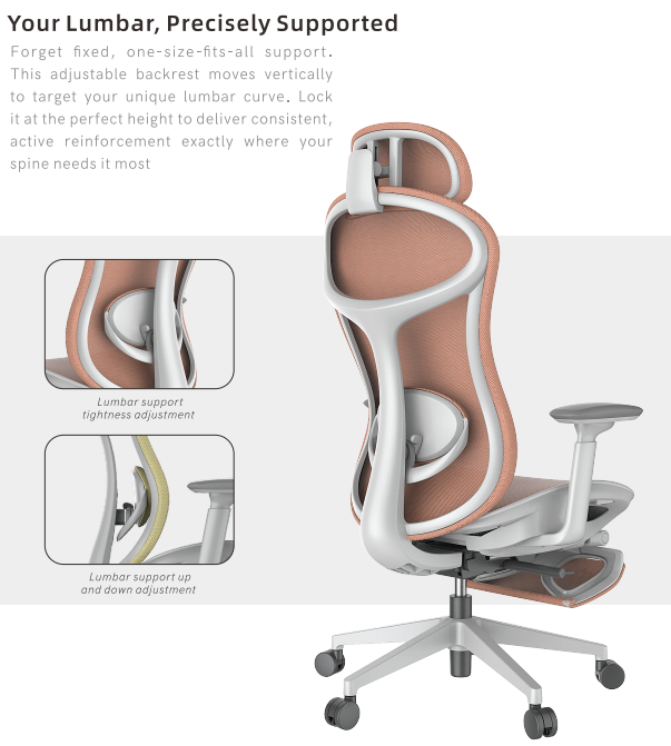 Adjustable Lumbar Support