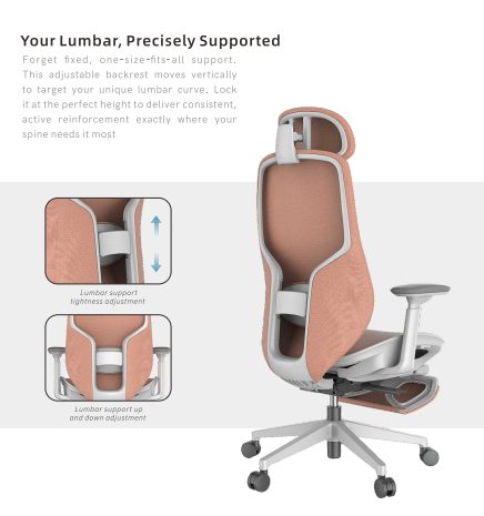 Adjustable Lumbar Support