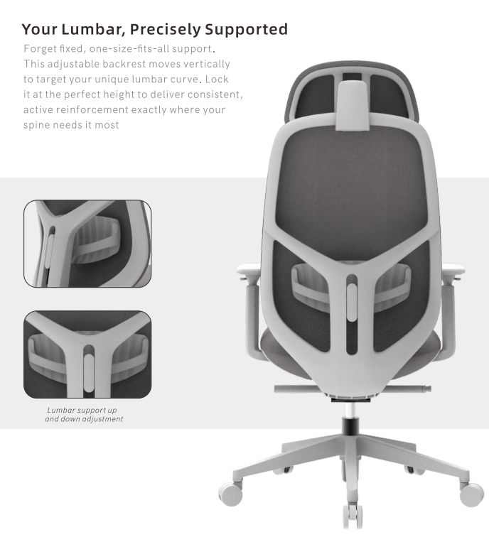 Adjustable Lumbar Support