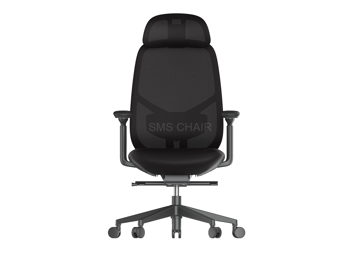Premium Swivel Ergonomic Work Chair with Multi-adjustable Functions